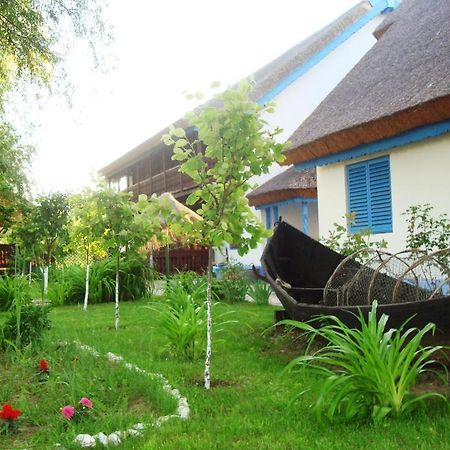 Casa Dintre Salcii Hotel Uzlina Eksteriør billede
