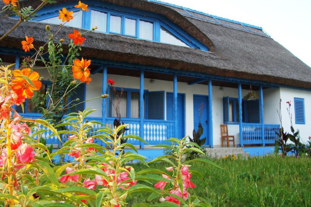 Casa Dintre Salcii Hotel Uzlina Eksteriør billede